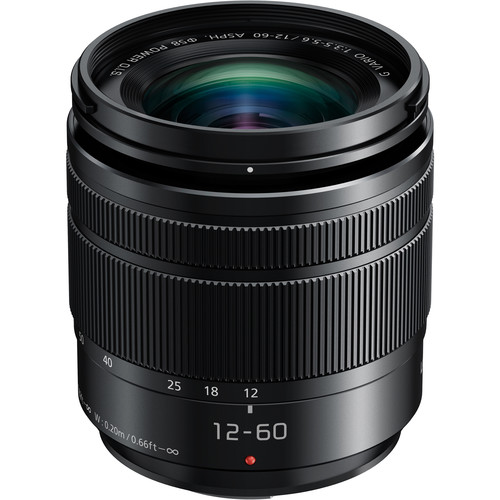 Panasonic Lumix 12-60mm